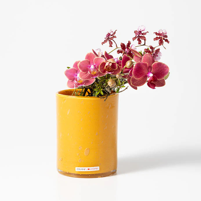 Cylinder 10x13 シリンダー