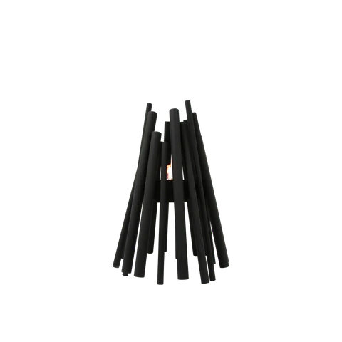 EcoSmart Fire Stix スティックス(円高還元 Special Price)