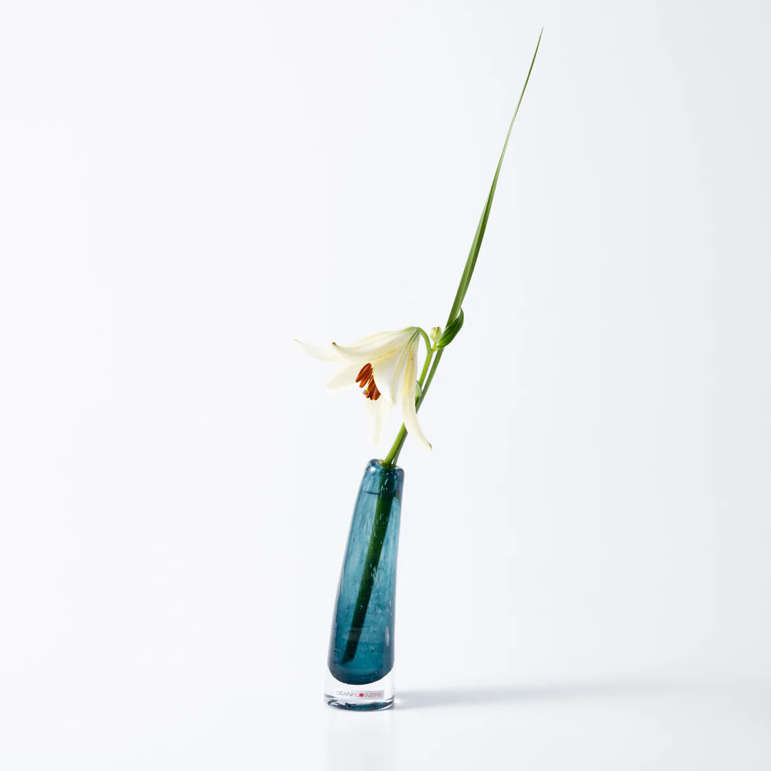 Grass S グラス