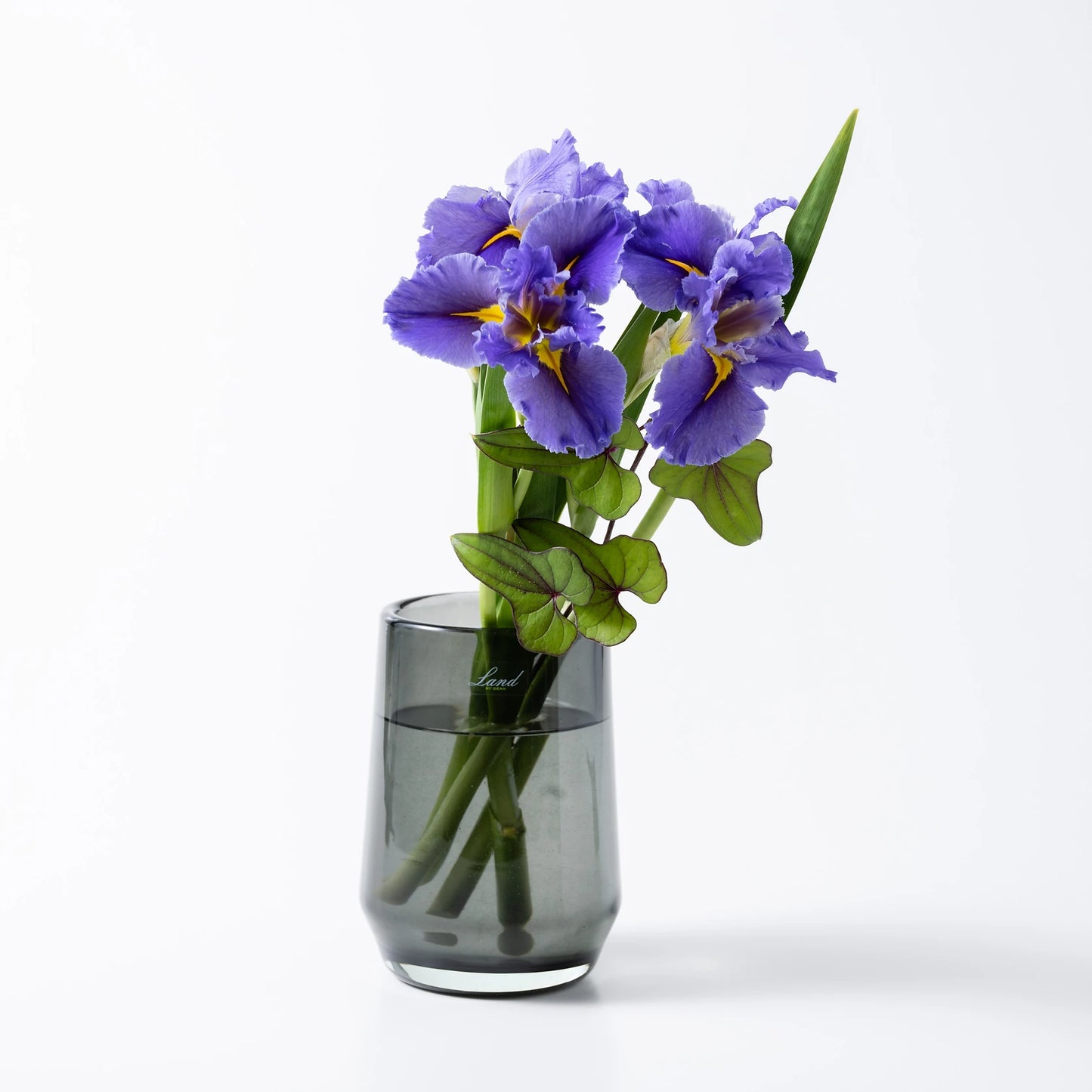 H.Clemence クレモンス