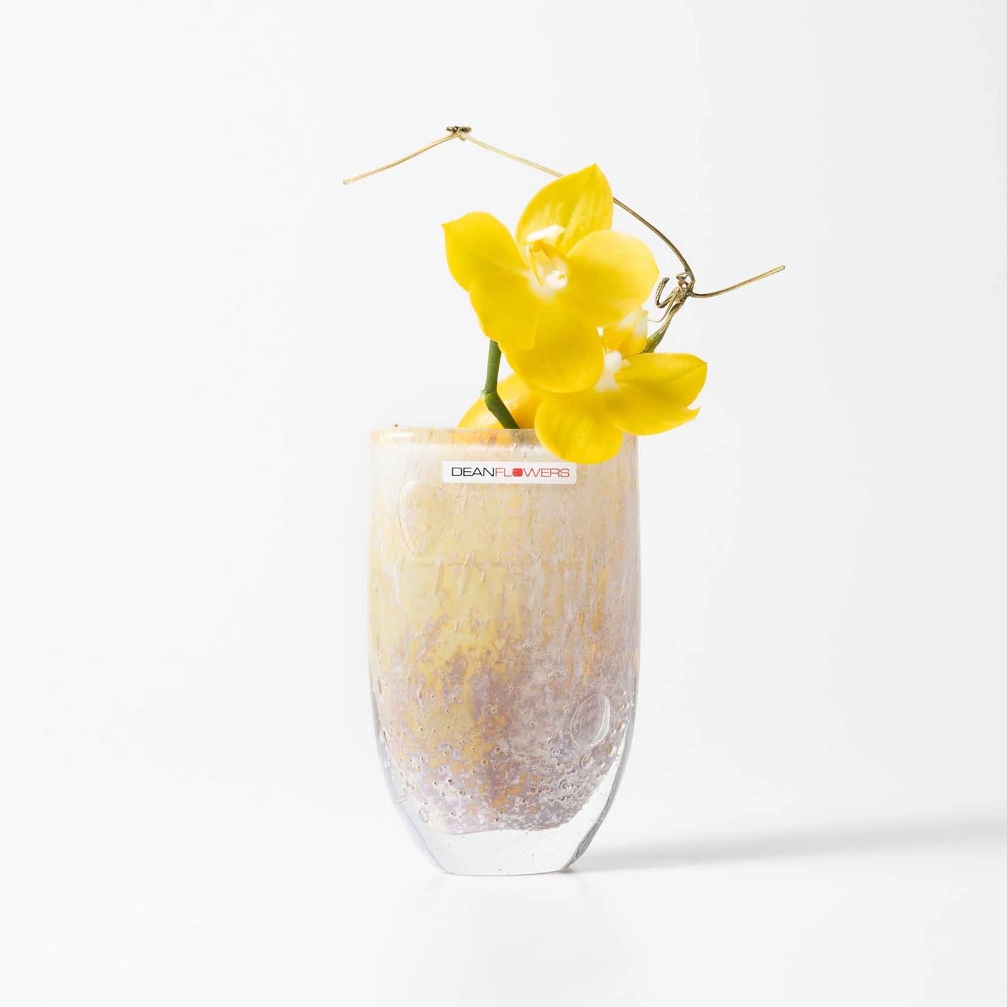 Julien XS ジュリアン