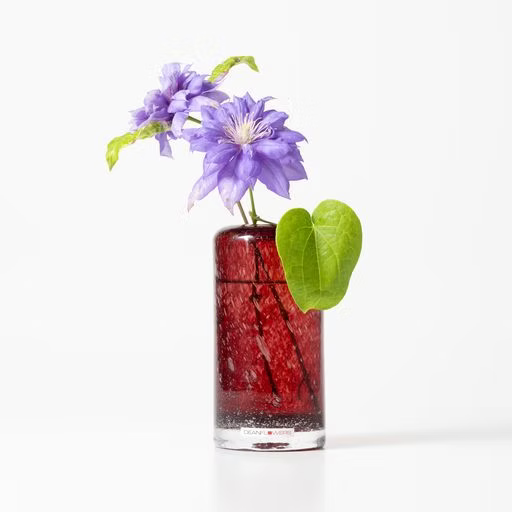 Fumiko without foot　フミコウィズアウトフット