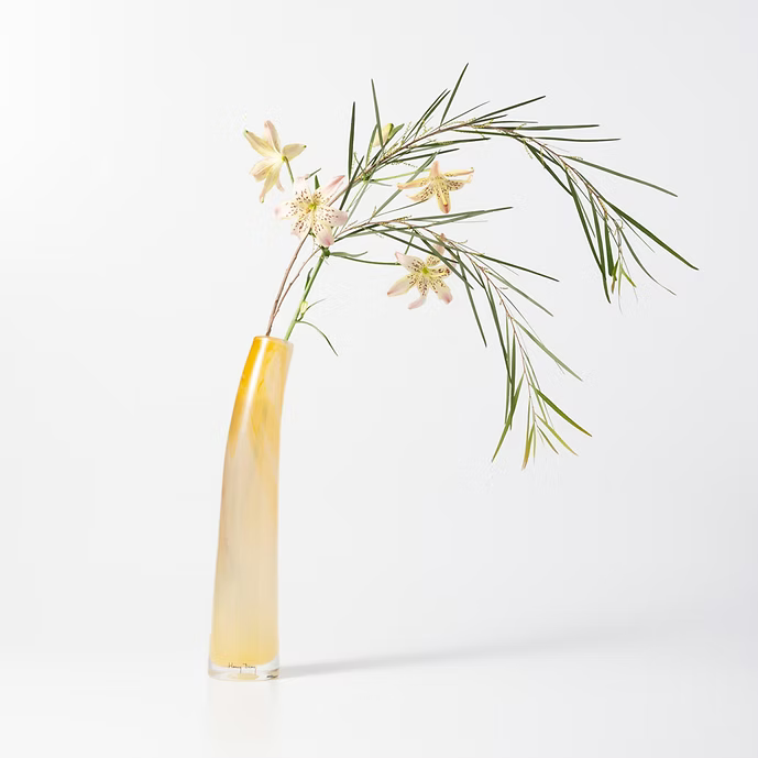 Grass L　グラス