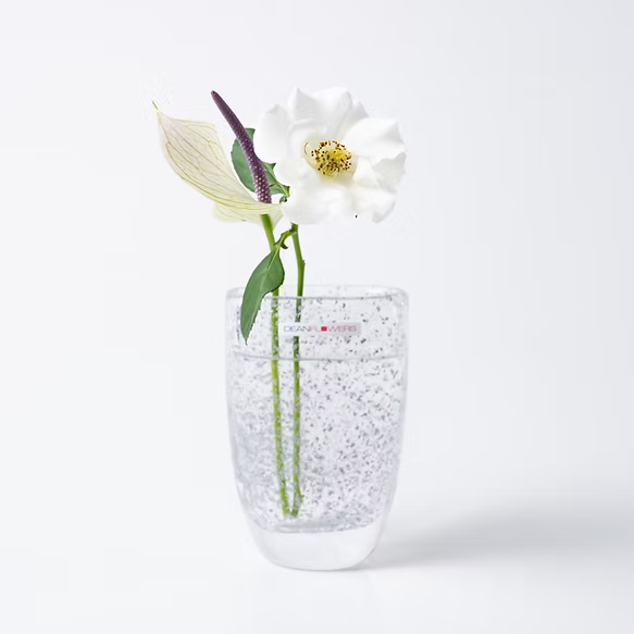 Julien XS　ジュリアン