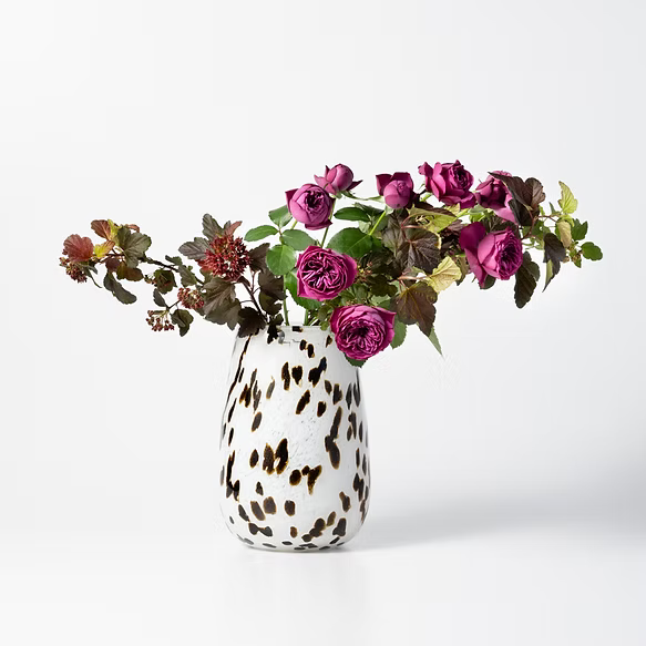 Stromboli S　ストロンボリ