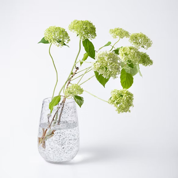 Stromboli S　ストロンボリ